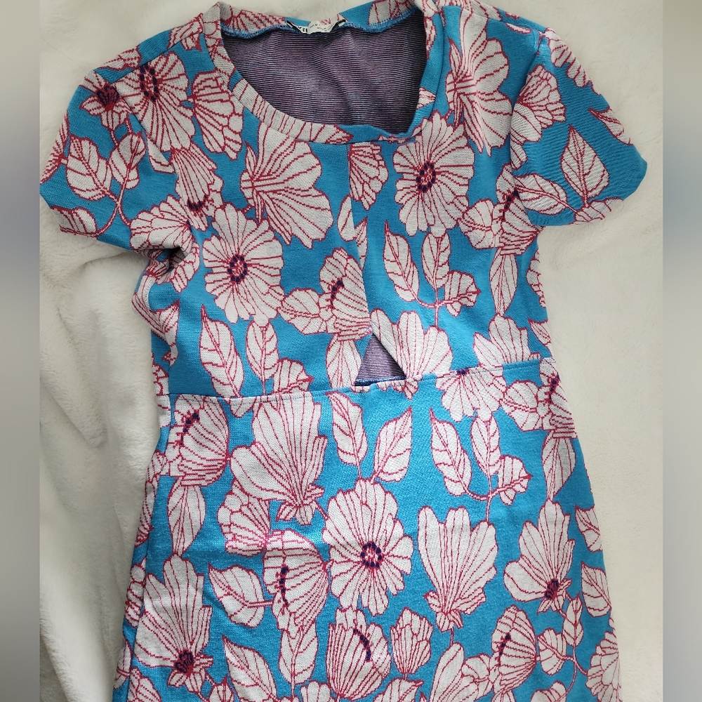 Zara dress